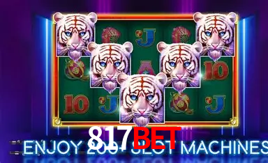 Experiência VIP 817bet